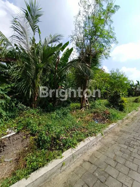 image TANAH DI LINGKUNGAN PERUMAHAN KAMASAN RIVER VIEW ,JL MAJAPAHIT TABANAN (4)