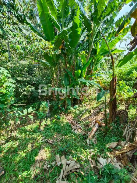 image TANAH DI LINGKUNGAN PERUMAHAN KAMASAN RIVER VIEW ,JL MAJAPAHIT TABANAN (3)