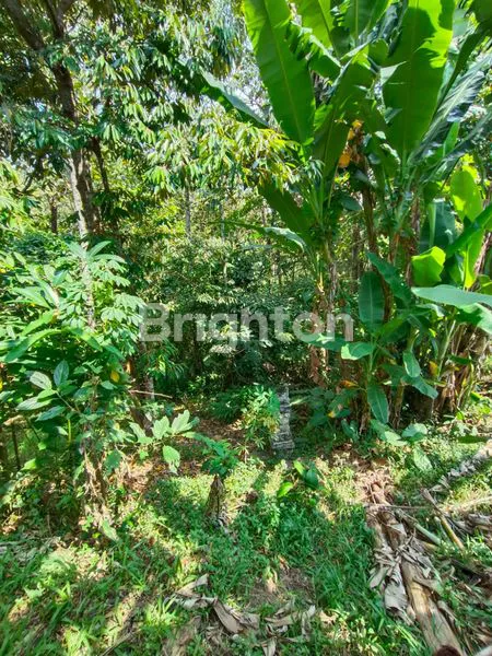 image TANAH DI LINGKUNGAN PERUMAHAN KAMASAN RIVER VIEW ,JL MAJAPAHIT TABANAN (8)