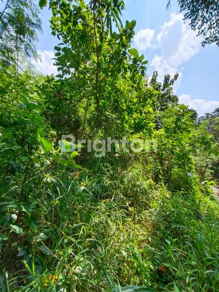 image TANAH DI LINGKUNGAN PERUMAHAN KAMASAN RIVER VIEW ,JL MAJAPAHIT TABANAN (5)