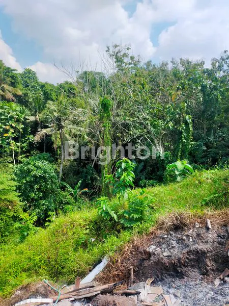 image DIJUAL TANAH – LINGKUNGAN PERUMAHAN KAMASAN RIVERVIEW JL MAJAPAHIT (6)