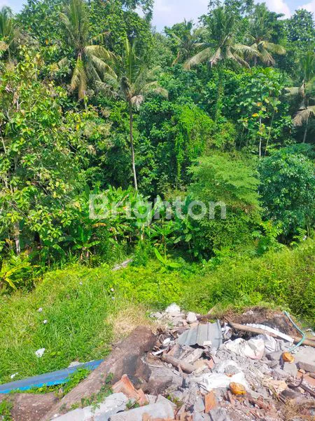 image DIJUAL TANAH – LINGKUNGAN PERUMAHAN KAMASAN RIVERVIEW JL MAJAPAHIT (4)