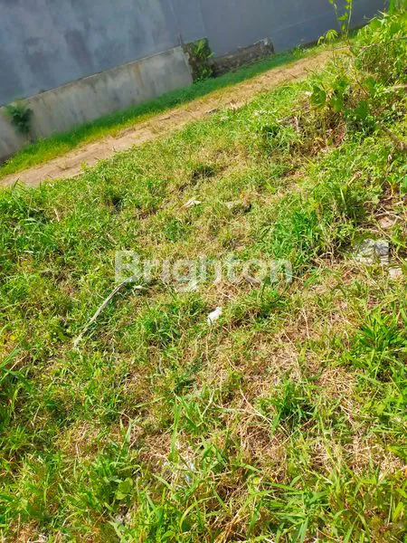 image DIJUAL TANAH – LINGKUNGAN PERUMAHAN KAMASAN RIVERVIEW JL MAJAPAHIT (5)
