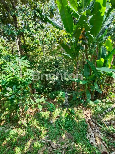 image TANAH DI LINGKUNGAN PERUMAHAN KAMASAN RIVER VIEW, JLN. MAJAPAHIT TABANAN<br />
 (8)