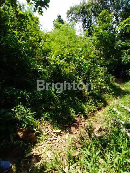 image TANAH STRATEGIS DI PINGGIR JALAN RAYA YEHDATI – TABANAN  (6)