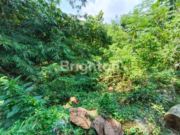 TANAH STRATEGIS DI PINGGIR JALAN RAYA YEHDATI – TABANAN