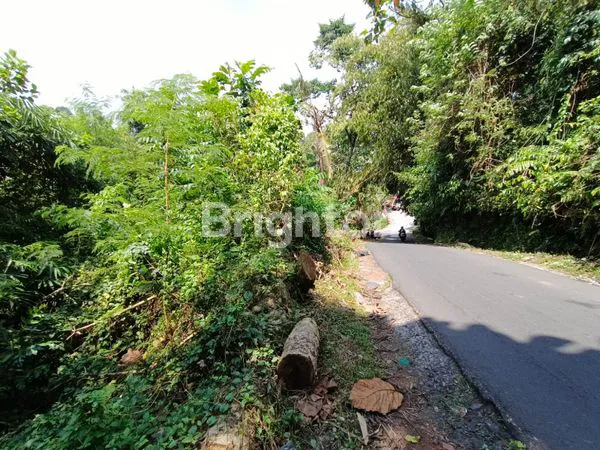 image TANAH STRATEGIS DI PINGGIR JALAN RAYA YEHDATI – TABANAN  (3)