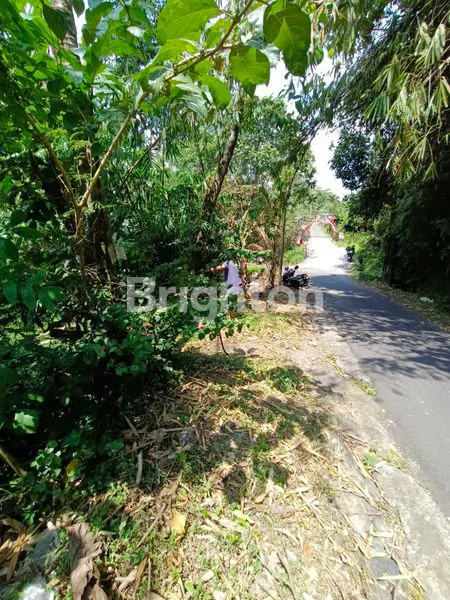 image TANAH STRATEGIS DI PINGGIR JALAN RAYA YEHDATI – TABANAN  (2)