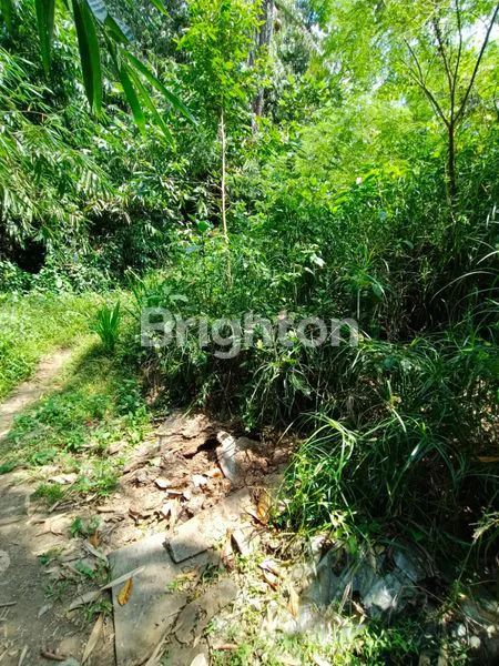 image TANAH STRATEGIS DI PINGGIR JALAN RAYA YEHDATI – TABANAN  (5)