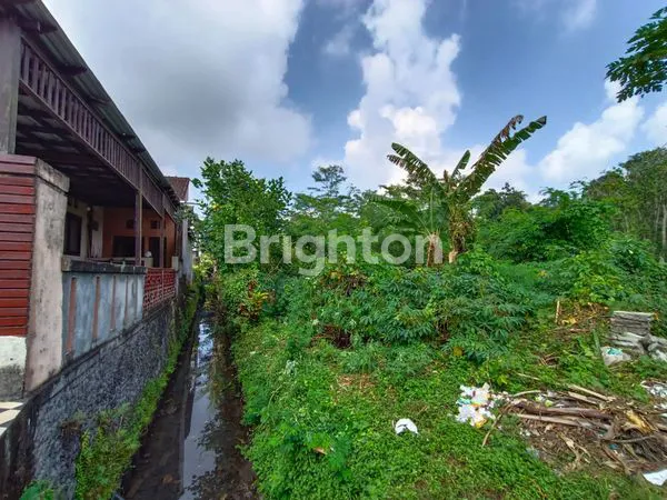 image TANAH KEBUN SIAP MU DI BANGUN RUMAH (7)