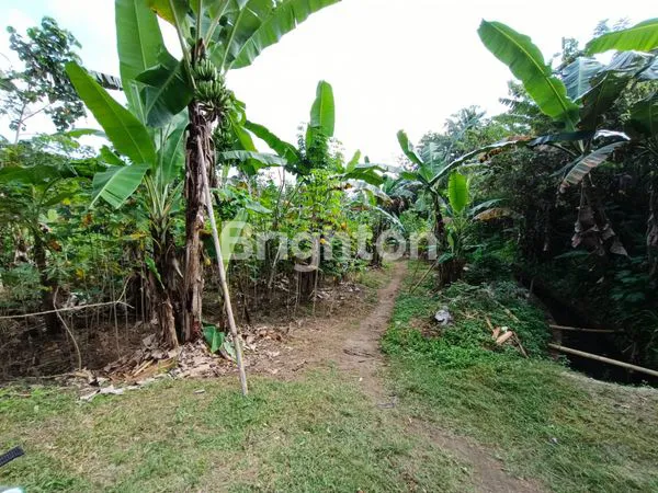image TANAH KEBUN SIAP MU DI BANGUN RUMAH (3)
