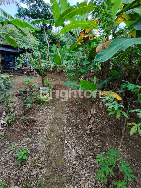 image TANAH SHM 2,8 HEKTAR DI SAMSAM, KERAMBITAN TABANAN  BADUNG (5)