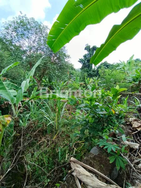 image L TANAH STRATEGIS DI JL. RAYA MELILING, TABANAN (5)