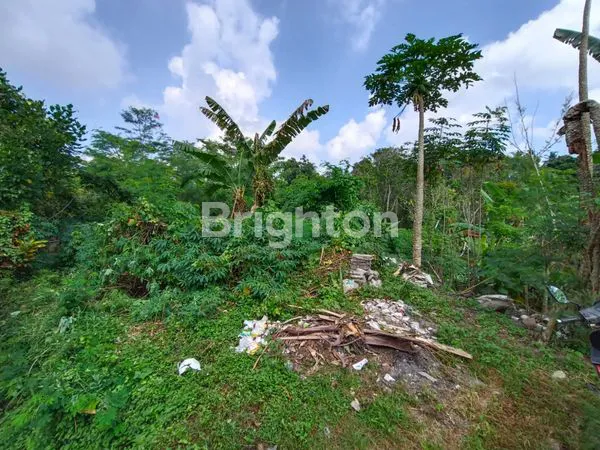 image L TANAH STRATEGIS DI JL. RAYA MELILING, TABANAN (6)