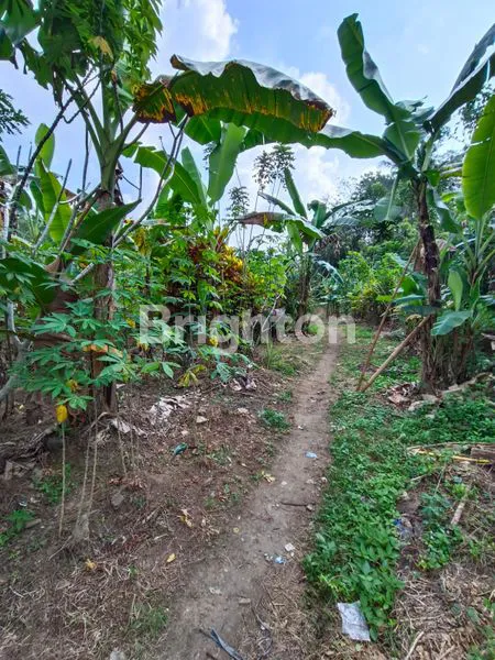 image L TANAH STRATEGIS DI JL. RAYA MELILING, TABANAN (3)