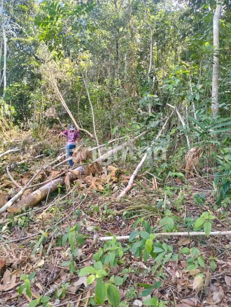 image LAHAN STRATEGIS UNTUK USAHA ATAU INVESTASI (4)