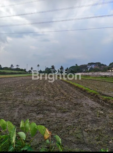 image TANAH PREMIUM DI PUSAT KOTA MALANG, DEKAT TOL PAKIS (3)