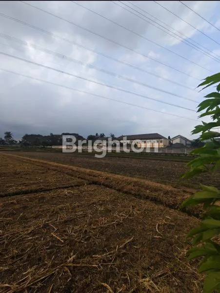 image TANAH PREMIUM DI PUSAT KOTA MALANG, DEKAT TOL PAKIS (4)