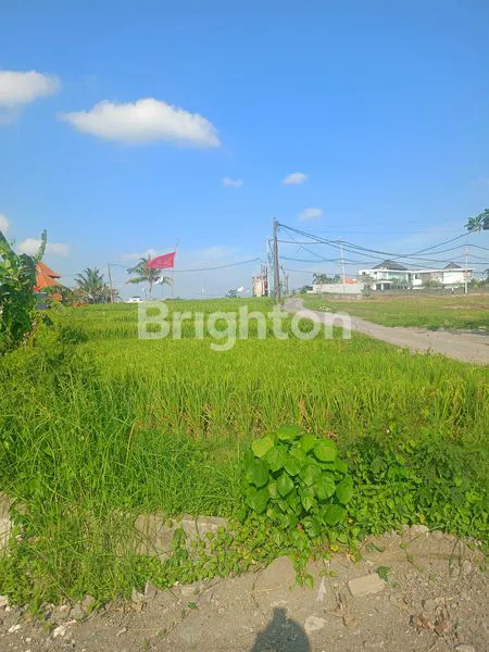 image DISEWAKAN TANAH 15 ARE DI CEMAGI (1)