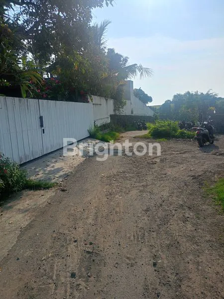 image DISEWAKAN TANAH 15 ARE DI CEMAGI (2)