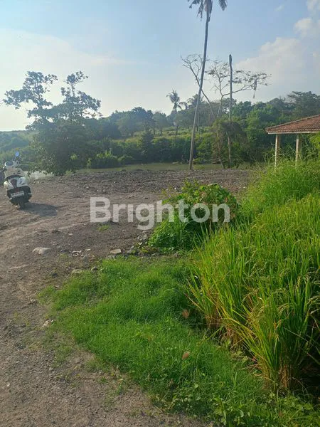 image DISEWAKAN TANAH 15 ARE DI CEMAGI (3)