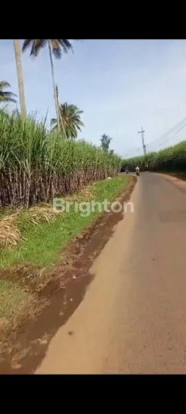 DI JUAL TANAH DATAR DI DEKAT PASAR DAMPIT