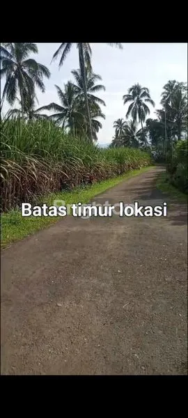 image DI JUAL TANAH DATAR DI DEKAT PASAR DAMPIT (5)