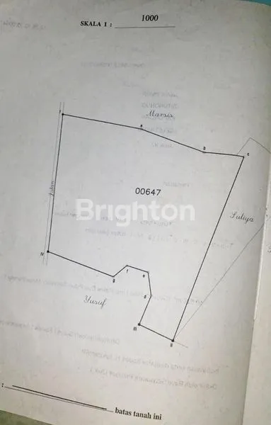 image SITUBONDO KAPONGAN TANAH PERTANIAN 1 HA  (4)