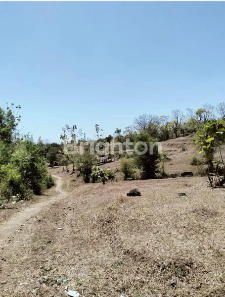 image TANAH DI JUAL MURAH TINGA TINGA GEROGAK SINGARAJA   (1)