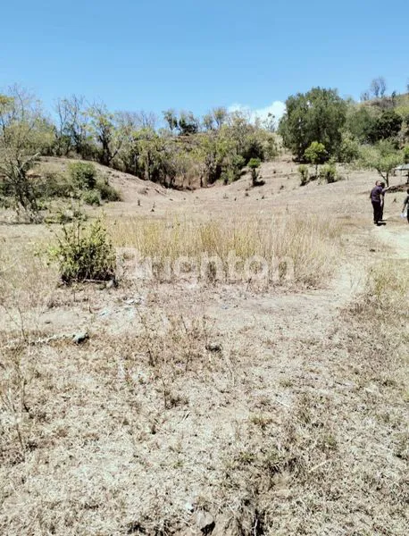 image TANAH DI JUAL MURAH TINGA TINGA GEROGAK SINGARAJA   (2)