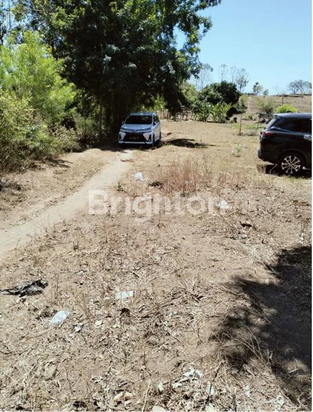 image TANAH DI JUAL MURAH TINGA TINGA GEROGAK SINGARAJA   (3)