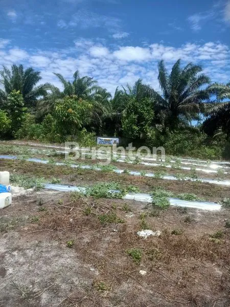 image TANAH PREMIUM 540M² DEKAT STADION UTAMA RIAU, NAGASAKTI 3 (2)