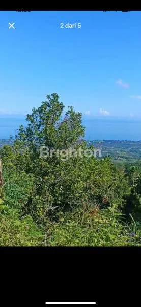 image LOKASI SANGAT COCOK UNTUK VILLA (3)