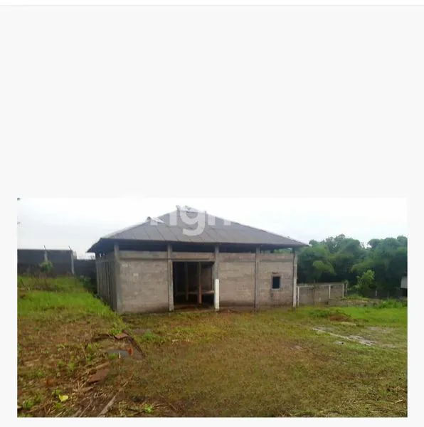 image GUDANG PAKIS (2)