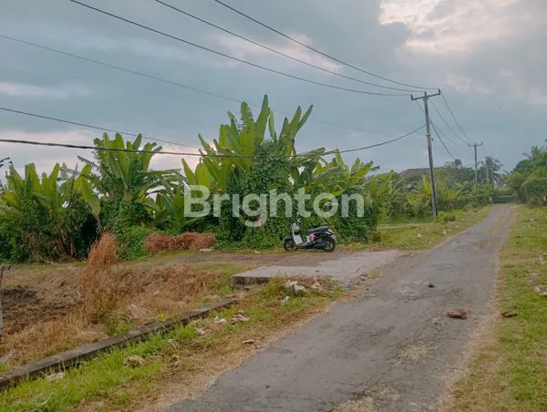 image LAND FOR SALE BEACHFRONT (3)