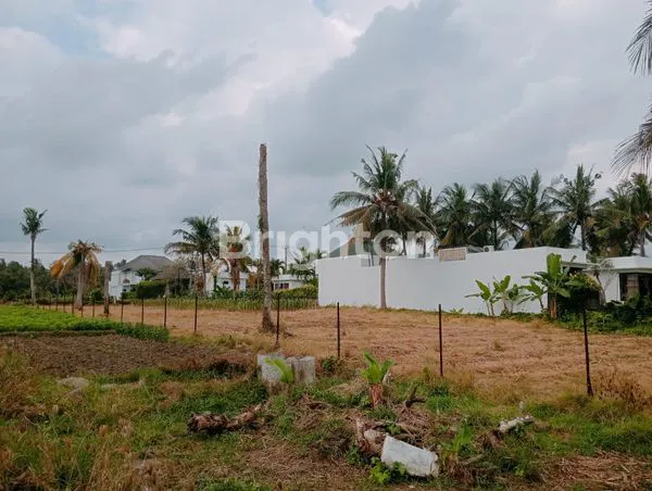 image LAND FOR SALE BEACHFRONT (4)