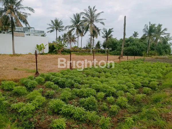 image LAND FOR SALE BEACHFRONT (7)