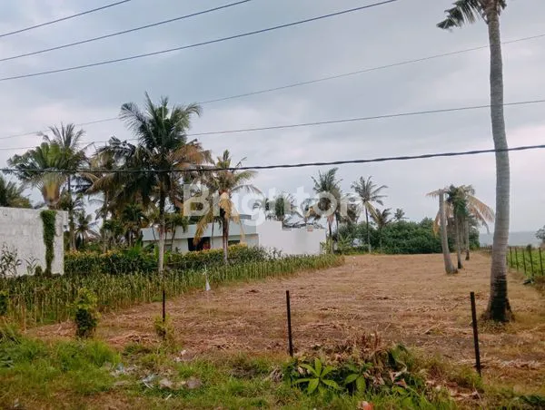 image LAND FOR SALE BEACHFRONT (8)