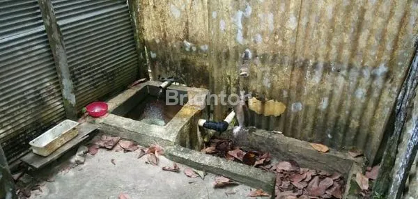 image TANAH KEBUN SUDAH ADA PONDOK NYA (6)