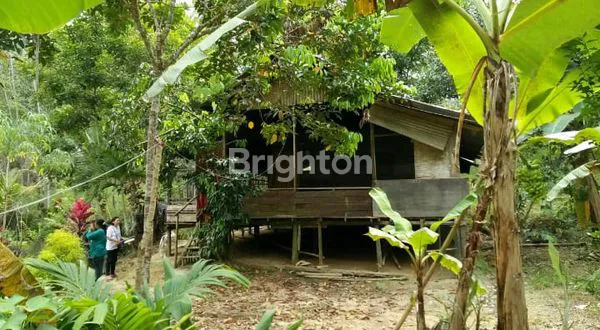 image TANAH KEBUN SUDAH ADA PONDOK NYA (1)