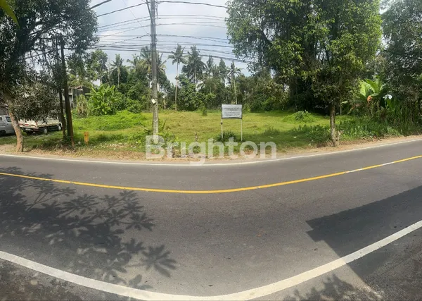 DIJUAL TANAH 36,8 ARE - TAMPAKSIRING