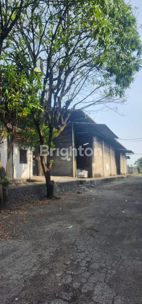 image PABRIK/GUDANG AKTIF DI BALARAJA BARAT (4)