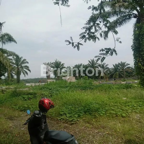 image DIJUAL TANAH SELUAS 8.5 HEKTAR POSISIDURIN TONGGAL DEKAT DARI PERUMAHAN RIVER VALEY  (8)