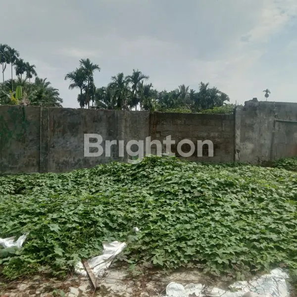 image DIJUAL TANAH SELUAS 8.5 HEKTAR POSISIDURIN TONGGAL DEKAT DARI PERUMAHAN RIVER VALEY  (5)