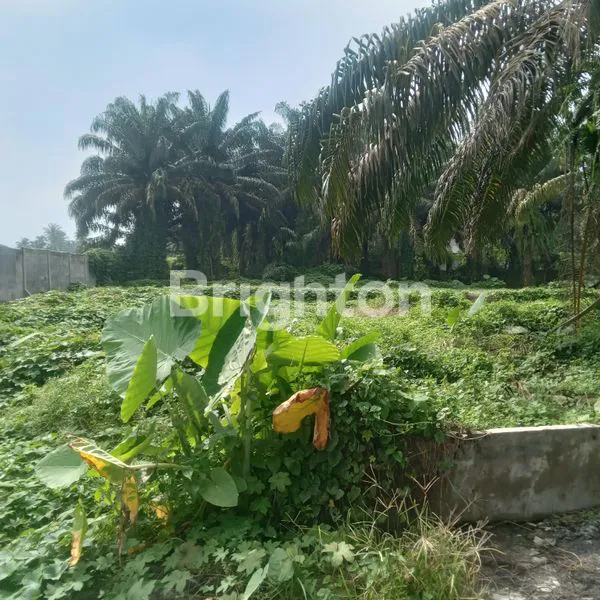 image DIJUAL TANAH SELUAS 8.5 HEKTAR POSISIDURIN TONGGAL DEKAT DARI PERUMAHAN RIVER VALEY  (4)