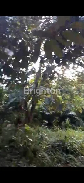 image TANAH 1.1 HA PREMIUM DEKAT PANTAI NIPAH-NIPAH & IKN PENAJAM (3)