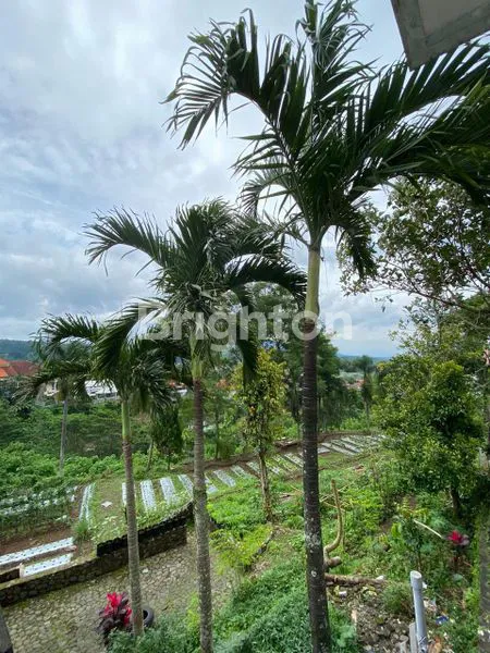 image VILLA EXCLUSIVE DI TRETES (4)