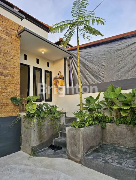 image RUMAH MINIMALIS BARU DI TABANAN (1)