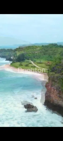 image DIUAL TANAH MEWAH DI KAWASAN WISATA PACITAN WATUKATUNG (2)