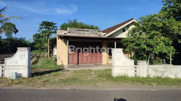 image TANAH LUAS  3 RIBUAN DI ADAN-ADAN KEC. GURAH KEDIRI (3)